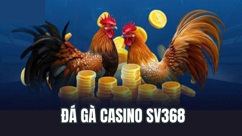 Đá Gà Casino Sv368 - Địa Chỉ Tổ Chức Đá Gà Hàng Đầu Châu Á